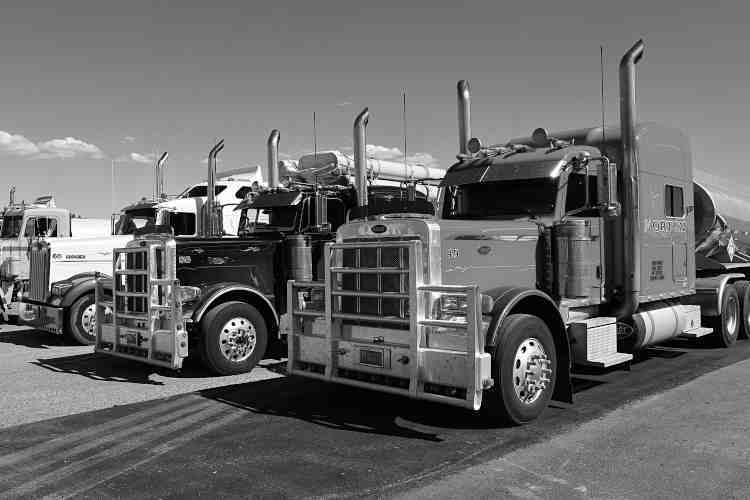 hiring-process-for-truck-drivers-what-do-you-need-to-know